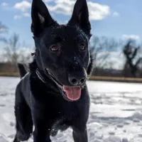 processed/290b8e79-18d5-4c9d-ab2c-21c7fae8e13a/facility/cbff1c89-99c7-4b08-9206-48ce67dc59ec