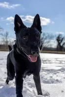 processed/290b8e79-18d5-4c9d-ab2c-21c7fae8e13a/facility/cbff1c89-99c7-4b08-9206-48ce67dc59ec