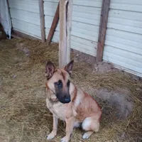 processed/290b8e79-18d5-4c9d-ab2c-21c7fae8e13a/facility/e1ca54e1-6930-4c33-b5f9-faab3d154404