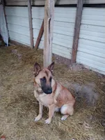 processed/290b8e79-18d5-4c9d-ab2c-21c7fae8e13a/facility/e1ca54e1-6930-4c33-b5f9-faab3d154404