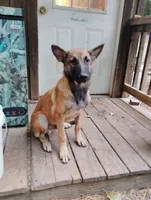 processed/290b8e79-18d5-4c9d-ab2c-21c7fae8e13a/listing/45435166-d1f9-45cc-9f2f-dda086b371ce/6ef87033-03ab-4b77-9479-0b7a9d11881d