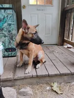 processed/290b8e79-18d5-4c9d-ab2c-21c7fae8e13a/listing/45435166-d1f9-45cc-9f2f-dda086b371ce/bd92aade-a051-41c6-978c-03acc7e9bf1e