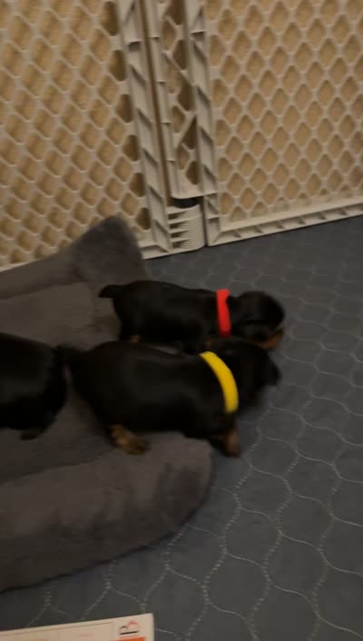 Facility video
