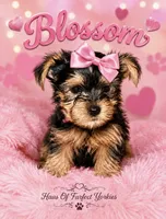 Blossom - AKC , a female Yorkshire Terrier for sale in Midland, TX – 1 of 4