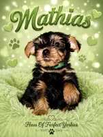 Mathias - AKC, a male Yorkshire Terrier for sale in Midland, TX – 1 of 4