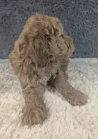 processed/291ef4ce-1674-488c-89c2-d7b5644f92c6/listing/8f2bc38f-614b-4d6a-8e6d-abe1a54674f5/22ab1a13-a42e-4f58-913d-673d79a0d135