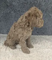 processed/291ef4ce-1674-488c-89c2-d7b5644f92c6/listing/8f2bc38f-614b-4d6a-8e6d-abe1a54674f5/761aca7b-d4ad-4b86-bcdc-c8a795736af4