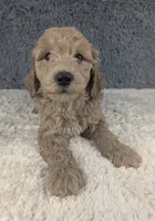 processed/291ef4ce-1674-488c-89c2-d7b5644f92c6/listing/8f2bc38f-614b-4d6a-8e6d-abe1a54674f5/7f0e8f92-3609-45f8-83b5-816b5d00f576