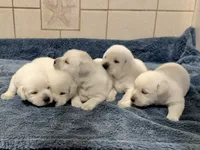 Facility photo