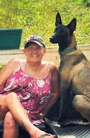 Rose, a female Belgian Malinois and German Shepherd Dog for sale in Raleigh, NC – Photo 9 of 10