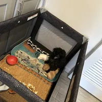 processed/294e0705-282d-436a-b3e8-6eb98f568687/facility/5d268606-3508-4c0a-ad28-5332d15dd0d0