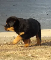 processed/294f8ff6-cfe4-42c4-b2ac-c2840dcf2f4a/listing/06e373b4-0b76-4628-bf2c-60be8d262bb6/91e3b0c1-c25b-47d5-ab47-e5688c798877