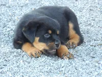 processed/294f8ff6-cfe4-42c4-b2ac-c2840dcf2f4a/listing/06e373b4-0b76-4628-bf2c-60be8d262bb6/fca3ff9f-d964-431c-94cf-c6adc8dd229b