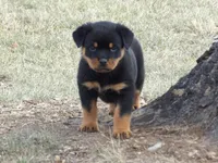 processed/294f8ff6-cfe4-42c4-b2ac-c2840dcf2f4a/listing/34a8bf1d-1dab-4960-a60e-74d80e8042d9/9d076cf5-0ac2-4fd0-b258-79c87a0cccf9