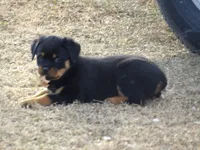 processed/294f8ff6-cfe4-42c4-b2ac-c2840dcf2f4a/listing/34a8bf1d-1dab-4960-a60e-74d80e8042d9/cb1796e5-37bd-48e7-94dd-7936491b8b3c