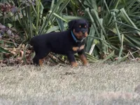 processed/294f8ff6-cfe4-42c4-b2ac-c2840dcf2f4a/listing/8e4cfbc2-387e-4c1b-b4ee-7a66a544f922/2f4b8cef-136a-4986-a087-379614d36df0