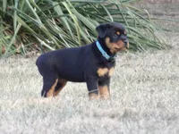 processed/294f8ff6-cfe4-42c4-b2ac-c2840dcf2f4a/listing/8e4cfbc2-387e-4c1b-b4ee-7a66a544f922/a090fa9e-8692-49f6-a05e-9e6715584440