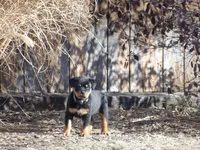 processed/294f8ff6-cfe4-42c4-b2ac-c2840dcf2f4a/listing/8e4cfbc2-387e-4c1b-b4ee-7a66a544f922/b2c31ff6-3567-45f6-b1db-651e2c7dd4b8