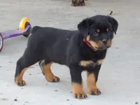 processed/294f8ff6-cfe4-42c4-b2ac-c2840dcf2f4a/listing/9d982b7b-d483-49cd-9e3c-cc19fc2bd431/0d446627-a36d-42af-a41a-f11e823f8eea