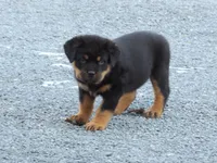 processed/294f8ff6-cfe4-42c4-b2ac-c2840dcf2f4a/listing/b2628065-5e9e-4c8f-8103-aa89b746c19c/55e24107-322d-4048-a8f7-80a8ddb74881