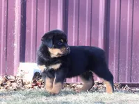 processed/294f8ff6-cfe4-42c4-b2ac-c2840dcf2f4a/listing/b2628065-5e9e-4c8f-8103-aa89b746c19c/c6651fca-a7d7-4354-8524-c714eb169d2a