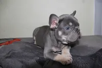 processed/295252d1-7915-49e5-b02a-67ced3ed3ea2/listing/d89c10d7-c9dc-4c20-a63b-9724bb984b49/20680e1f-e18b-4bec-a6c9-3aa3fa9b73c5