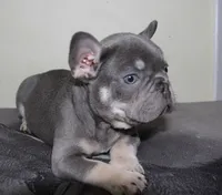 processed/295252d1-7915-49e5-b02a-67ced3ed3ea2/listing/d89c10d7-c9dc-4c20-a63b-9724bb984b49/8f9c52cf-1c64-4514-ae83-97612e2d027f