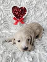 processed/2953822d-2042-4454-8ccf-e1f3da04c180/listing/4a7bcd53-0c8e-439e-9722-e8321b353b56/368bb1a3-4ce6-42a6-afda-db64760d6aa2