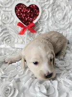 processed/2953822d-2042-4454-8ccf-e1f3da04c180/listing/4a7bcd53-0c8e-439e-9722-e8321b353b56/69efb107-13dd-4c69-b84c-b521e585e817