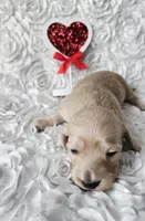 processed/2953822d-2042-4454-8ccf-e1f3da04c180/listing/b86f41b7-a873-48cc-862e-800660ce9244/18438882-22ba-44ae-9dd6-76a7295c980a