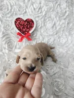 processed/2953822d-2042-4454-8ccf-e1f3da04c180/listing/b86f41b7-a873-48cc-862e-800660ce9244/52dcd808-3744-4254-b450-c750bf2ddc25