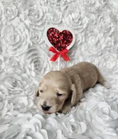 processed/2953822d-2042-4454-8ccf-e1f3da04c180/listing/b86f41b7-a873-48cc-862e-800660ce9244/55d61aff-86ba-483a-b7c8-185a385740e3