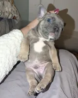 processed/29542824-cba2-4f41-b234-204311f6ff24/facility/09f2e97e-759f-450b-8bd2-8d47a89945f4