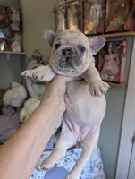 processed/29542824-cba2-4f41-b234-204311f6ff24/facility/df57e655-e830-45bc-a404-3e6b906e0824