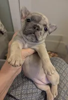 processed/29542824-cba2-4f41-b234-204311f6ff24/facility/e1508809-2509-491c-8e66-5ec3d56b0f2c