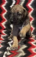 processed/295a2c5b-07bd-4533-a0a4-34be675ba548/listing/3661bfda-c3b5-4710-8113-9ac4d8e73ac6/4a6186b7-ca7d-448b-b951-93bc30e43b53