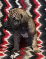 processed/295a2c5b-07bd-4533-a0a4-34be675ba548/listing/3661bfda-c3b5-4710-8113-9ac4d8e73ac6/61117de8-601f-48ea-b5e6-166925128d46