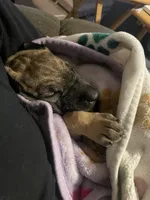 processed/295a2c5b-07bd-4533-a0a4-34be675ba548/listing/3661bfda-c3b5-4710-8113-9ac4d8e73ac6/9774fd1a-e685-48e9-9a54-7509f60519c6