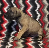 processed/295a2c5b-07bd-4533-a0a4-34be675ba548/listing/3661bfda-c3b5-4710-8113-9ac4d8e73ac6/d1fb7458-8e7e-4bd3-beaf-40d0021854bb