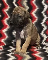 processed/295a2c5b-07bd-4533-a0a4-34be675ba548/listing/3661bfda-c3b5-4710-8113-9ac4d8e73ac6/efe8186a-a336-42d9-9957-e49f8d05ed57