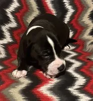 processed/295a2c5b-07bd-4533-a0a4-34be675ba548/listing/76226800-158e-4211-8e1a-4246a9d23fe1/60ac8fcd-0d68-41ee-83c4-1c3c8c867185