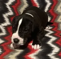 processed/295a2c5b-07bd-4533-a0a4-34be675ba548/listing/76226800-158e-4211-8e1a-4246a9d23fe1/8ebde1c9-673d-492d-bc40-e1c231feb7cc