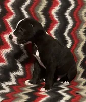 processed/295a2c5b-07bd-4533-a0a4-34be675ba548/listing/76226800-158e-4211-8e1a-4246a9d23fe1/94d0e5fc-8057-44c5-9a3c-d1e11c5d8924