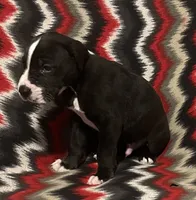 processed/295a2c5b-07bd-4533-a0a4-34be675ba548/listing/76226800-158e-4211-8e1a-4246a9d23fe1/cc983c3d-19ca-4e3b-9bd5-baa8fb03a7aa