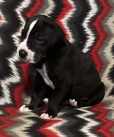 processed/295a2c5b-07bd-4533-a0a4-34be675ba548/listing/76226800-158e-4211-8e1a-4246a9d23fe1/e748cf9a-183b-4e02-b047-862d74a5daf0