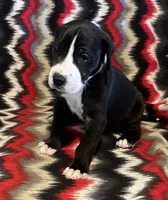 processed/295a2c5b-07bd-4533-a0a4-34be675ba548/listing/8c55bb69-b5a0-4c79-adb0-6a66576ebef8/400a3623-2c7f-48bb-929a-1c83901f13d1