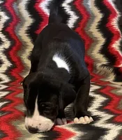 processed/295a2c5b-07bd-4533-a0a4-34be675ba548/listing/8c55bb69-b5a0-4c79-adb0-6a66576ebef8/52cfc819-f4f8-467e-b409-3cc9aaa0c155