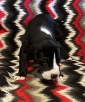 processed/295a2c5b-07bd-4533-a0a4-34be675ba548/listing/8c55bb69-b5a0-4c79-adb0-6a66576ebef8/ba8bbfe4-93ac-44e9-911e-a22677fc2a00