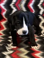 processed/295a2c5b-07bd-4533-a0a4-34be675ba548/listing/8c55bb69-b5a0-4c79-adb0-6a66576ebef8/f18e5c4a-9120-404b-b368-ff5092fd4a2b