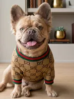 LEONARDO (NOT FOR SALE) STUD, a male French Bulldog for sale in Dothan, AL – 1 of 4